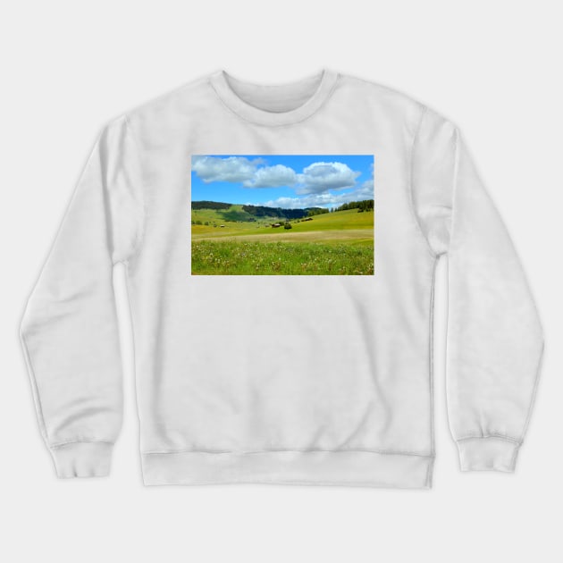 Alpine meadows Crewneck Sweatshirt by annalisa56